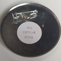 FaceBlik12 met een speld aan de achterkant