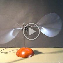 tavelfan