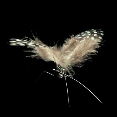 Floche broche