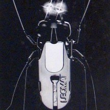 insekt broche fotochemisch ge-etst een voorloper van het laseren, word superveel gebruikt voor elektronica print