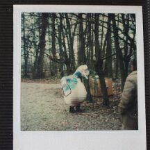 pino4 De mouw rechts is Ton en hij zette een streep op de polaroid die aangaf hoe groot de vleugel moest zijn.