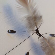 IMG_20210315_115650