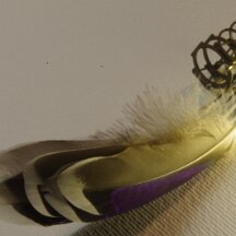 IMGP0152