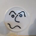IMG_20221129_113854