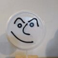 IMG_20221129_113932