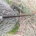 lengte